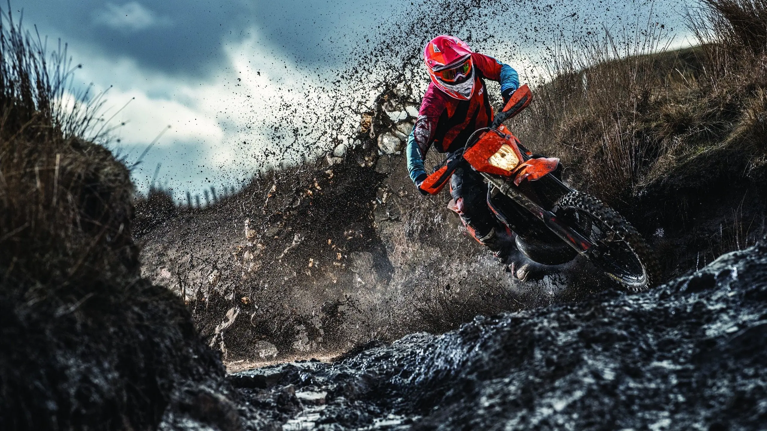 西班牙马术协会与国际马术组织合作，举办青少年马术交流活动，促进国际理解。